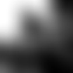 Perspectivas sobre la microdosificación para transformar la depresión, la ansiedad y el trastorno de estrés postraumático