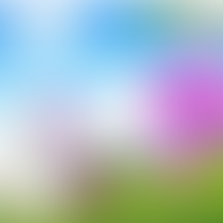 10 maneras de disfrutar la temporada primaveral