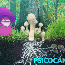 La diferencia entre las Setas Mágicas y las Trufas Mágicas