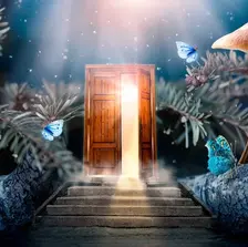 ¿Por qué deberías leer "Las puertas de la percepción"