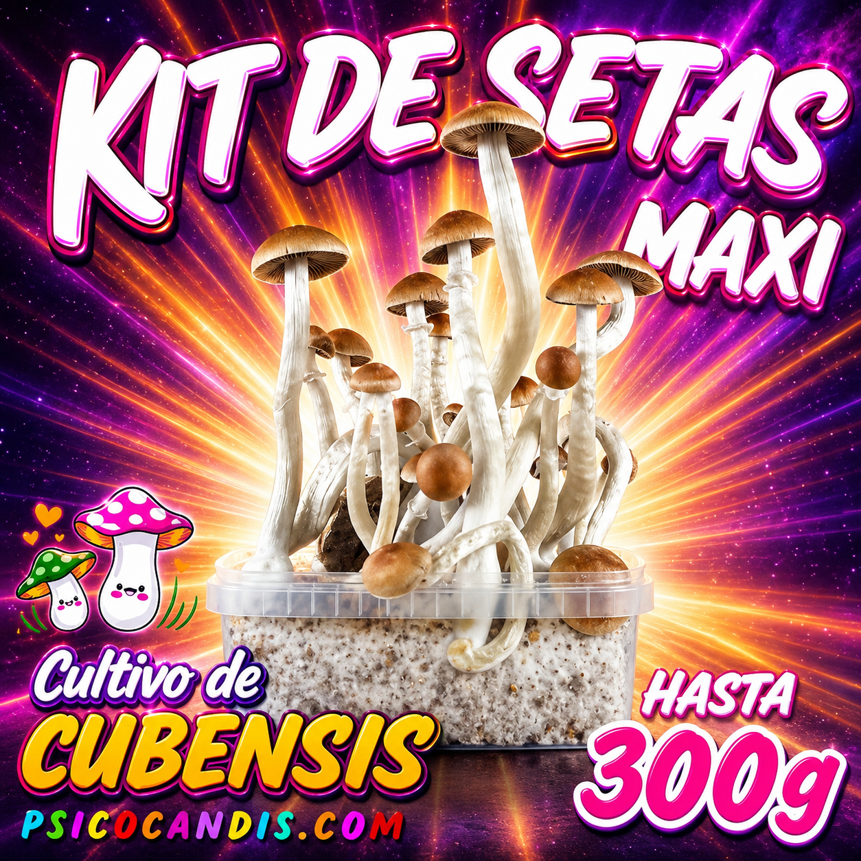 Maxi Kit de Setas