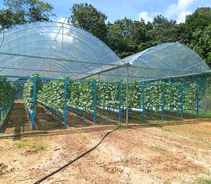 WhatsApp Image 2024-12-10 at 8.24.49 PM.jpeg