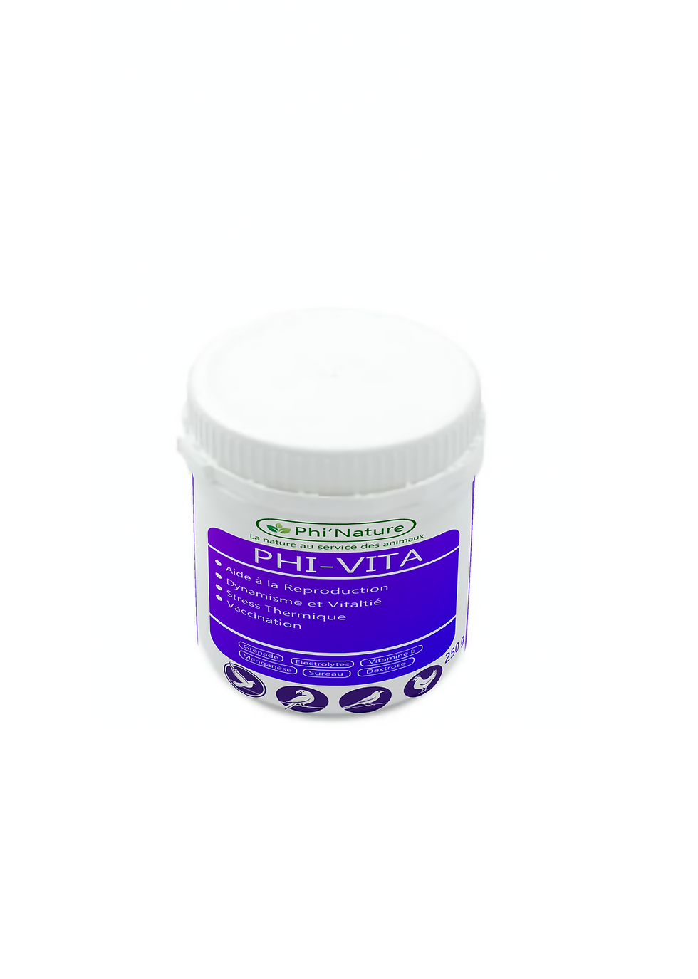 Miniature : Phi-Vita