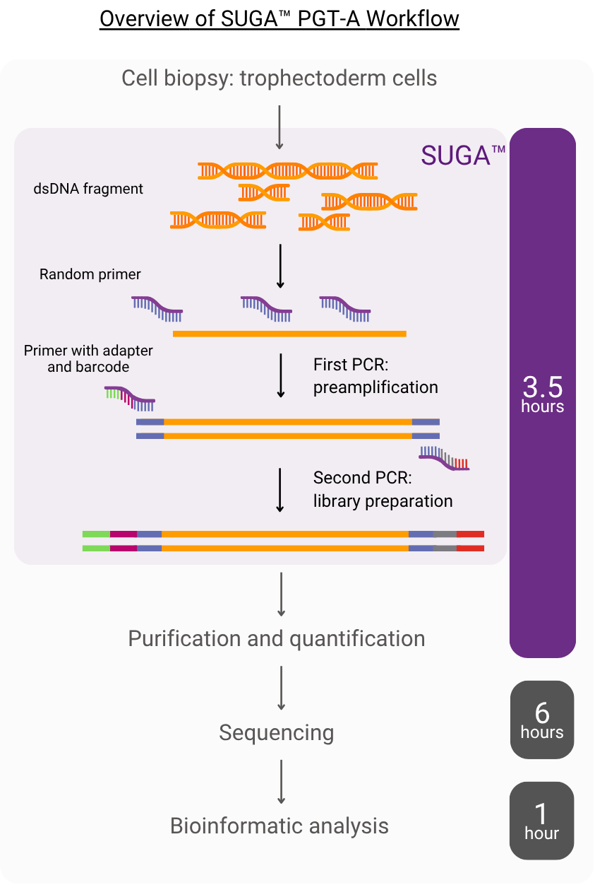The SUGA workflow in PGT-A solution
