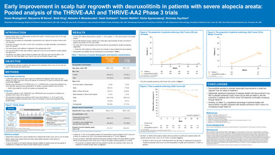 Poster 6