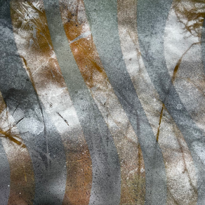 100 Days of Nature: water art, mark making and monotypes