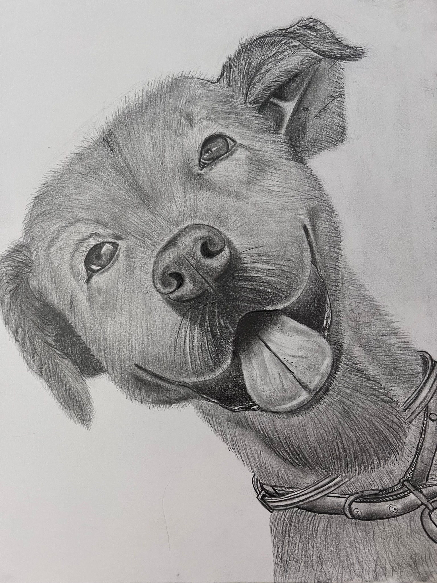 CUSTOM SKETCH