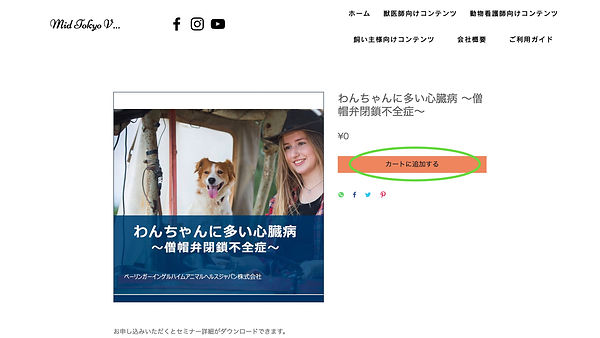 申し込みの仕方.001.jpeg