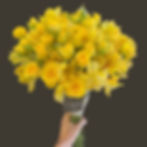 Buquê solar com flores amarelas