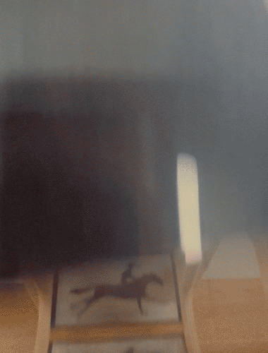 Bez-názvu6.gif
