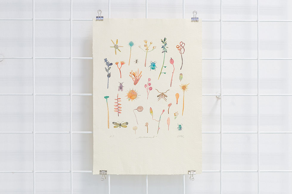 Thumbnail: Herbarium 1