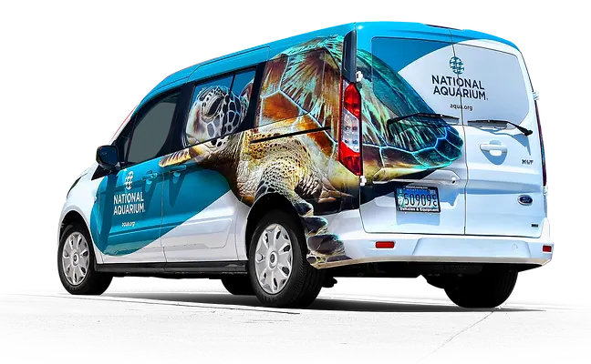 baltimore aquarium van wrap