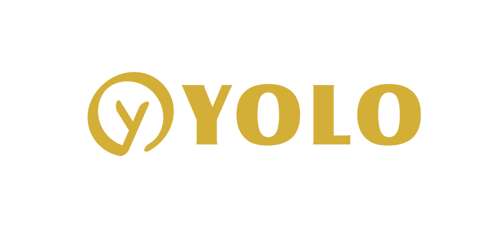 logo yolo nb horizontal blanc.png