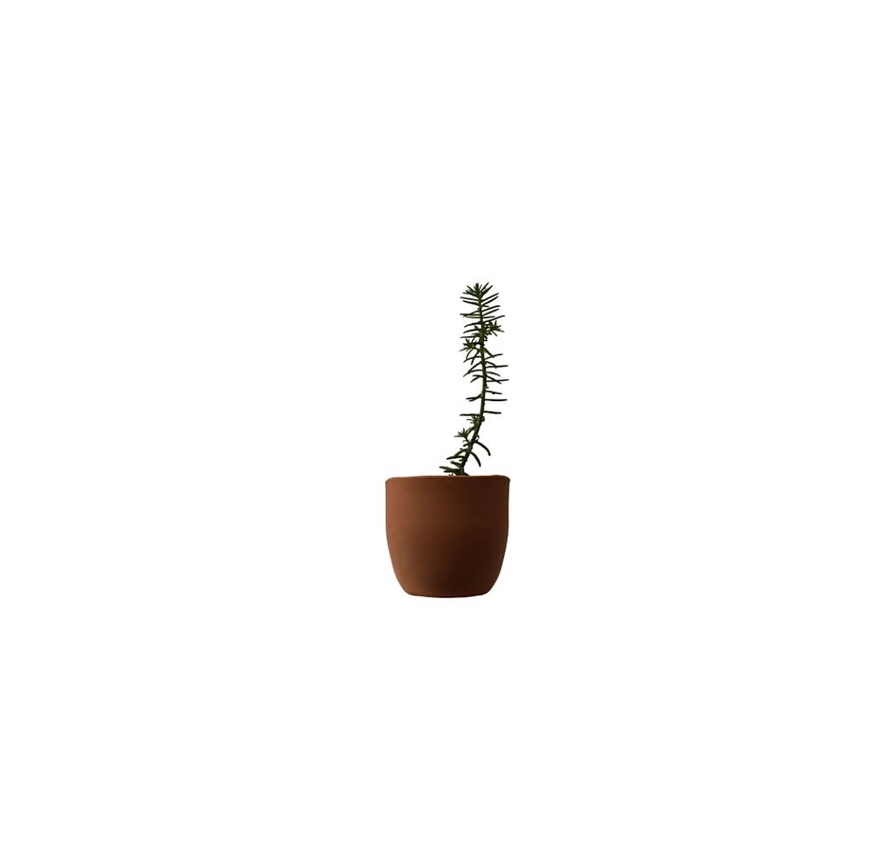 Miniatura: Maceta de barro en forma de bala #8