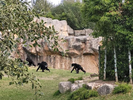 Visita de Estudo ao ZOO