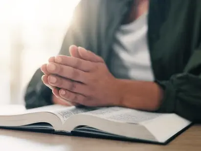 O NOVO NASCIMENTO - Parte 14 