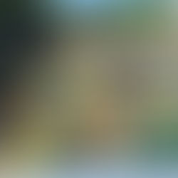 Porto Seguro: A história de redenção e resgate da nação brasileira