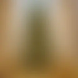 Por que não celebramos o Natal - Parte 1