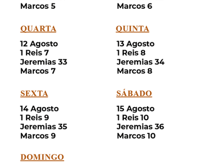 PLANO DE LEITURA BÍBLICA