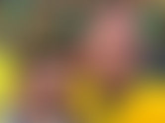 Ap. Renê participa de ato com Bolsonaro em São Paulo