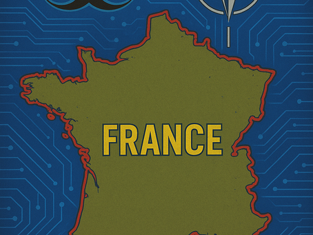 NATO member France in focus