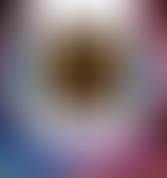 Elektronische Technokratie - Definition