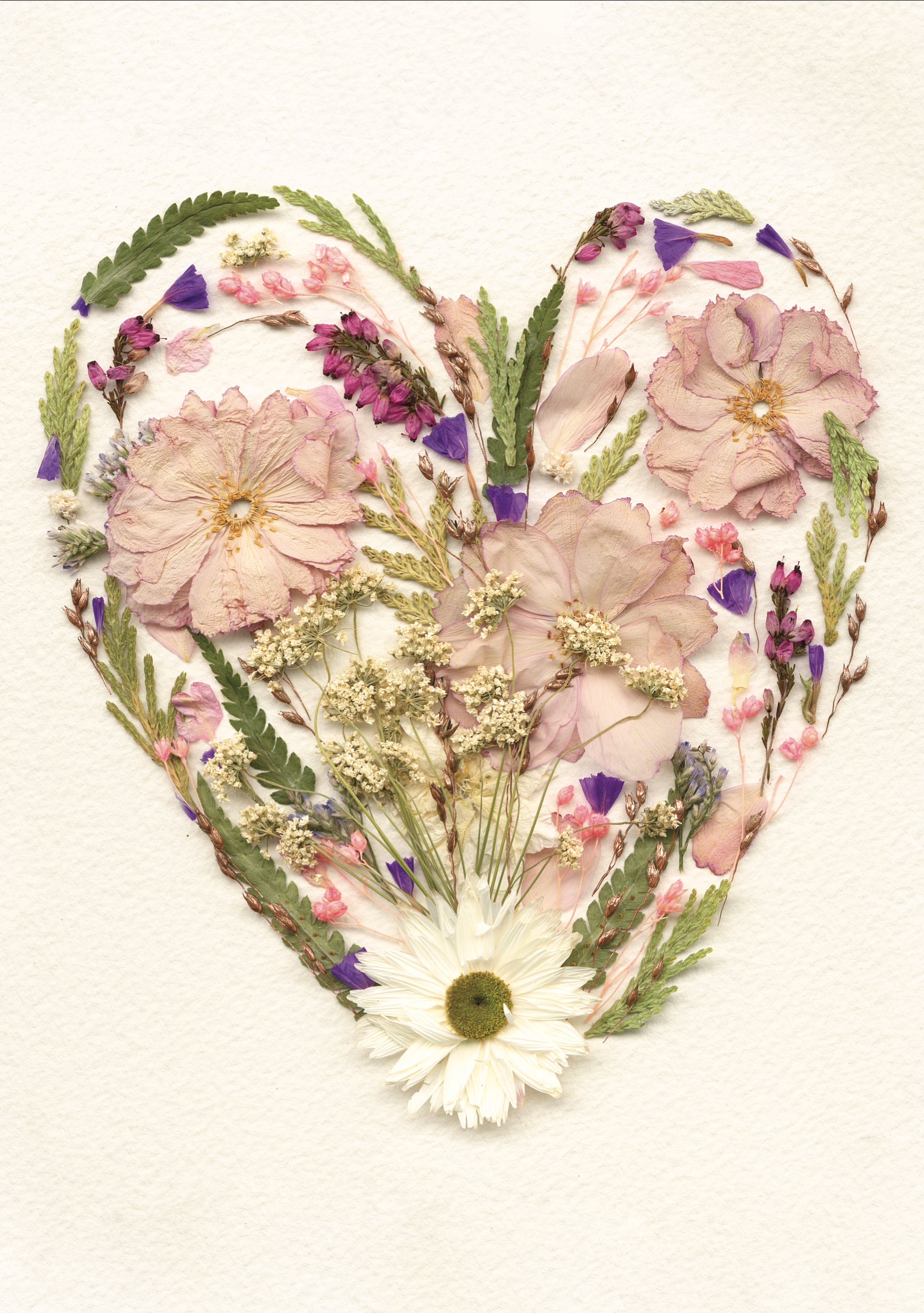 I Love You Cherry Much