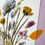 Thumbnail: Purple Window
