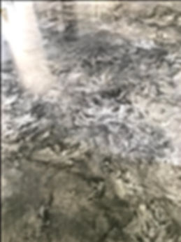 Example of good concrete finish with a l