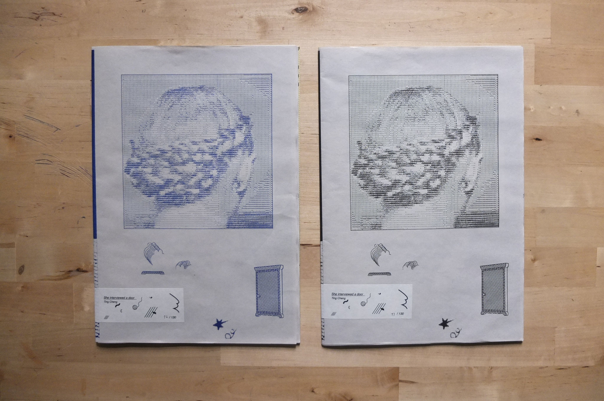 She interviewed a door