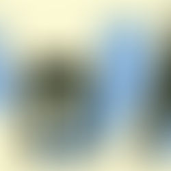 〖TW〗New High Land: 新高原大藥房 2018