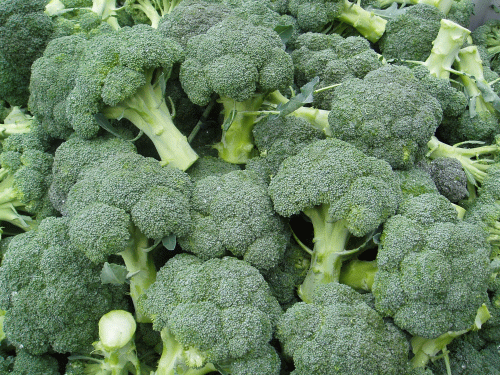 Broccoli