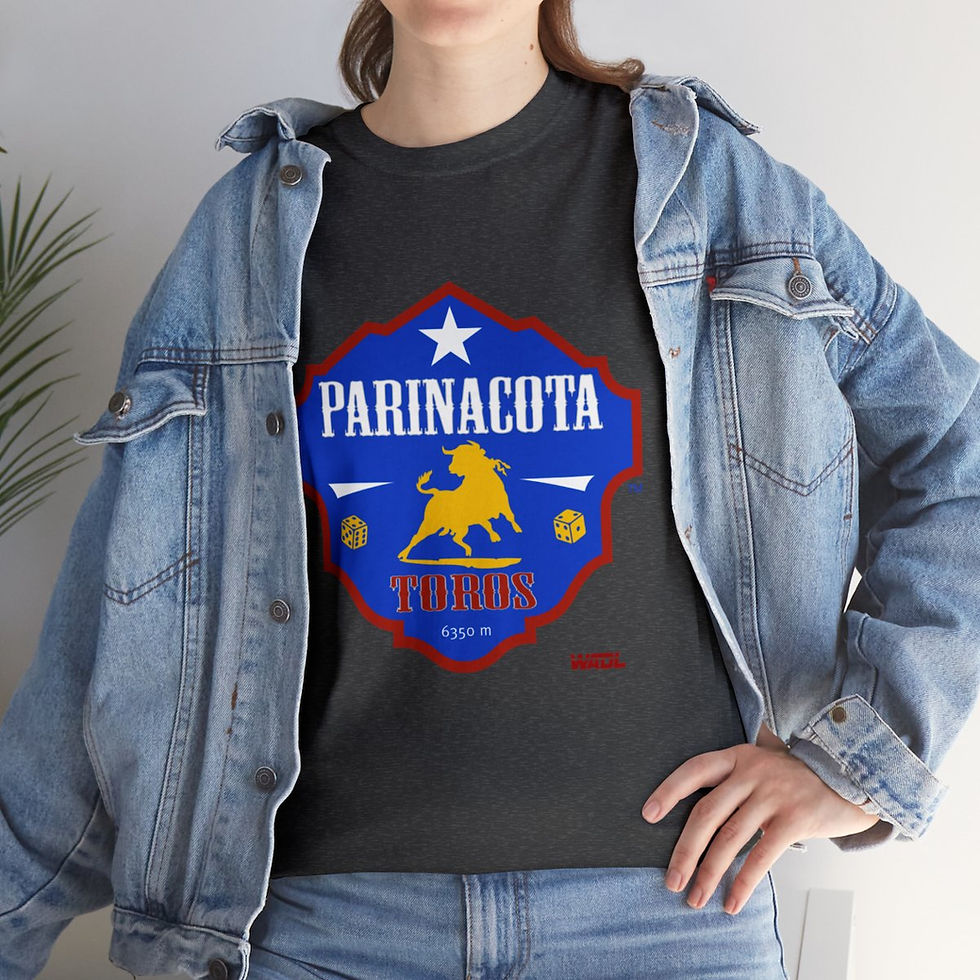 Thumbnail: Parinacota Toros Heavy Cotton Tee