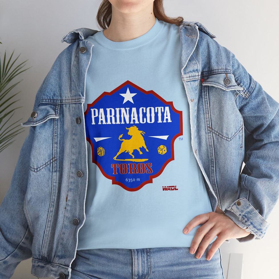 Thumbnail: Parinacota Toros Heavy Cotton Tee