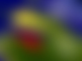 Como abortar legalmente en Colombia.