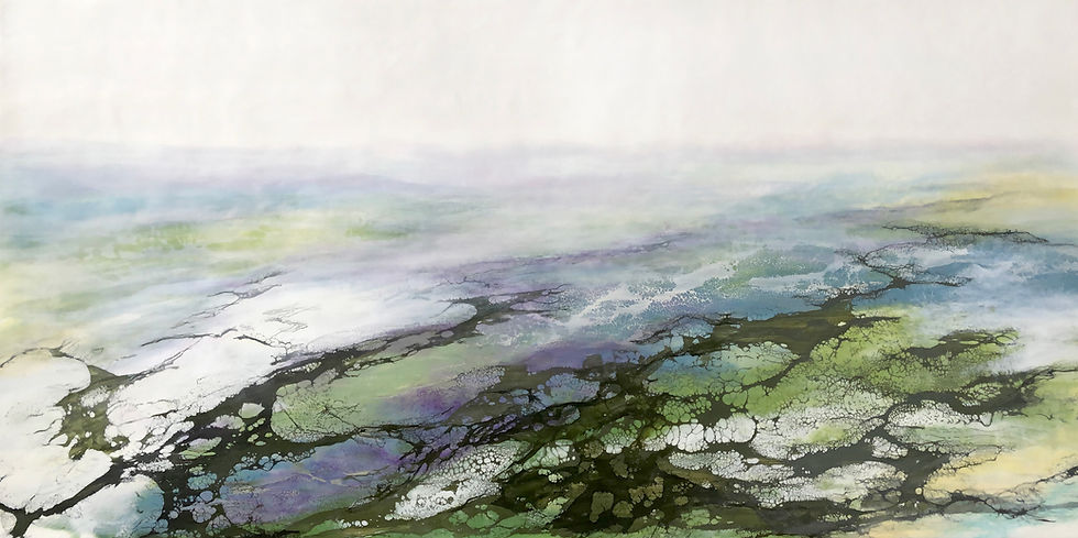 Spring Marsh - 2019