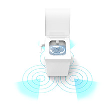 FLUSHING_RENDER.jpg