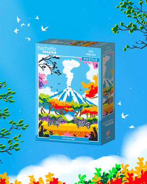 Illustration puzzle hachette par thomas arnaud