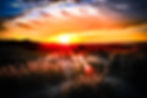 DSCF4478-5