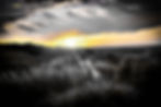 DSCF4478
