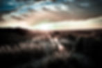 DSCF4478-4