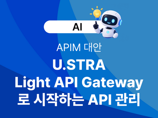 고가 APIM이 부담스럽다면? U.STRA Light API Gateway로 시작하는 API 관리