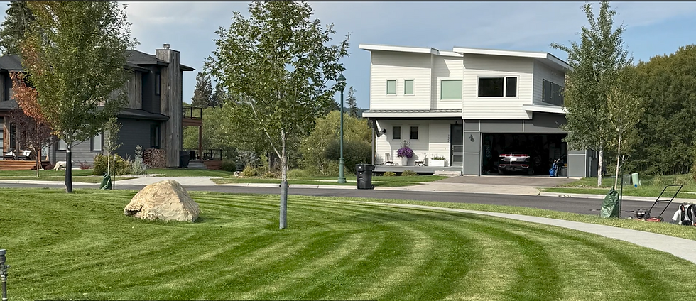 lawn maintenance.png