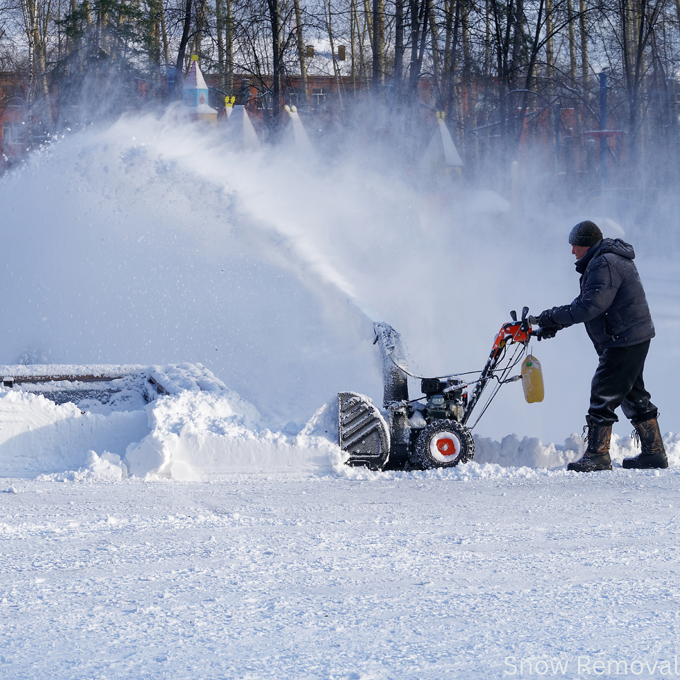 Snow Removal (3).png