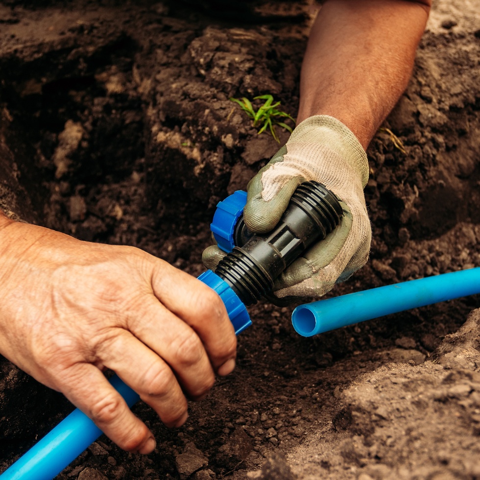 irrigation (3).png