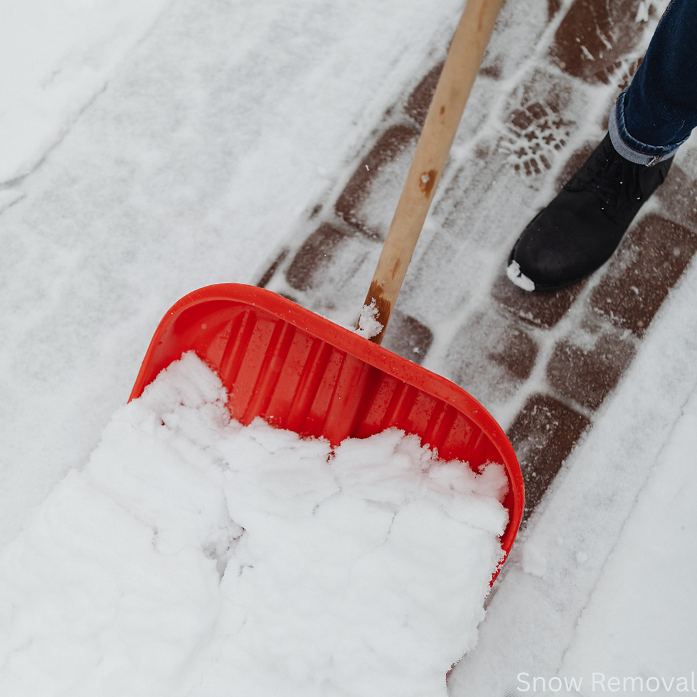 Snow Removal (5).png
