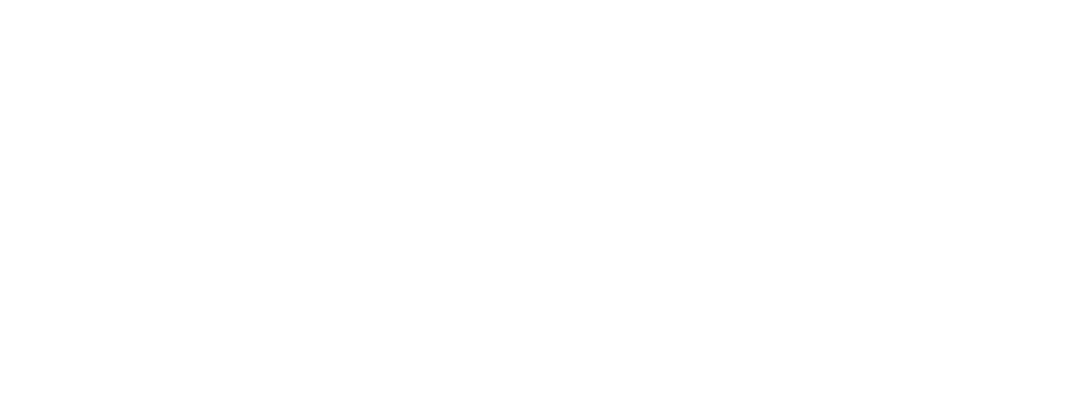 PingIdentity.png