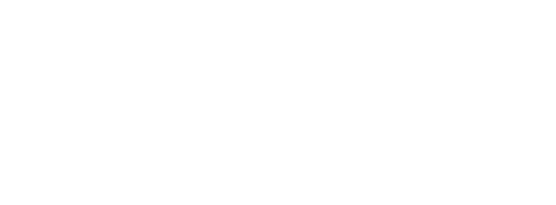 Sailpoint Logo White.png