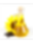 Sunflower oil.png
