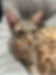 287948335_779984929839333_4709199446567854389_n_marked.jpg